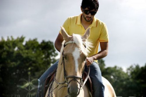 那些颜值爆表的阿联酋王子们