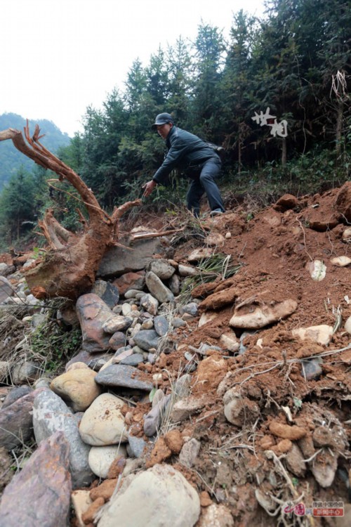 ���������ӻ���������������Ϊ������·