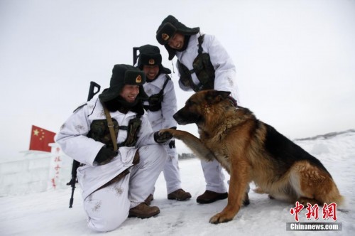 �߷���Ϊ��Ȯů�� ��Ȯ�м���������