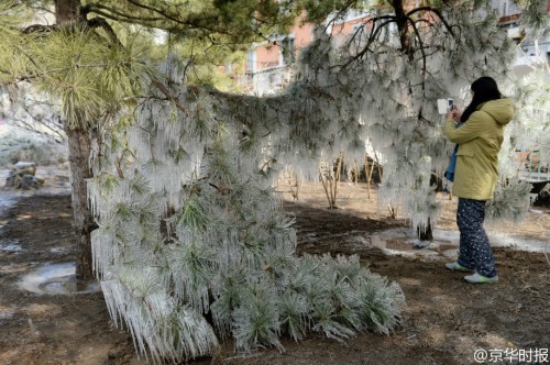 �����̻����ִ�������� ����������