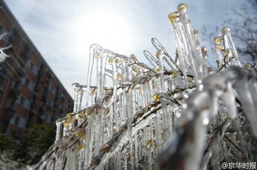 �����̻����ִ�������� ����������