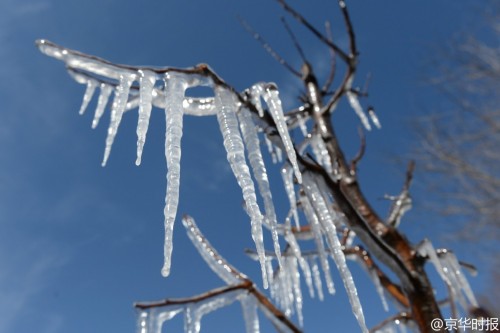 �����̻����ִ�������� ����������