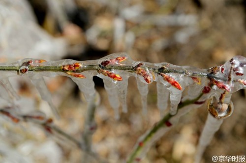 �����̻����ִ�������� ����������