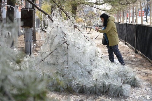 �����̻����ִ�������� ����������