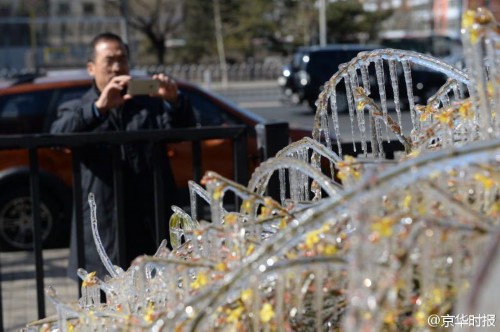 �����̻����ִ�������� ����������