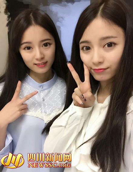 ����˫��̥����У���������ع⣨��ͼ��