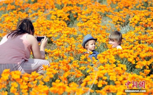 ����������ڱ�������ɺ���������