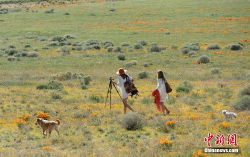 ����������ڱ�������ɺ���������