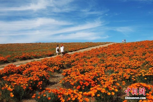 ����������ڱ�������ɺ���������