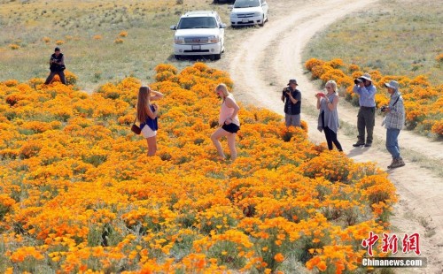 ����������ڱ�������ɺ���������