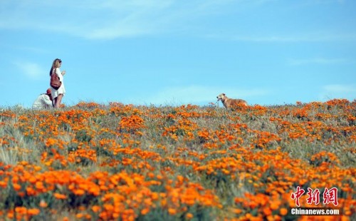 ����������ڱ�������ɺ���������