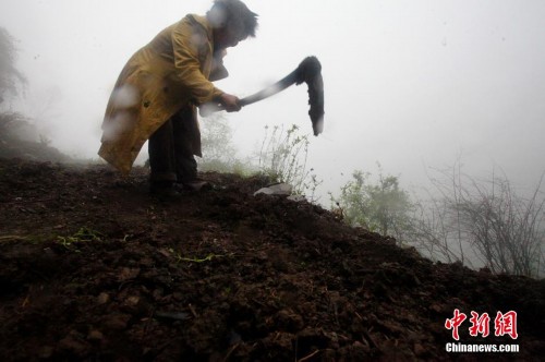 ����ũ��Ѩ�ӡ����ݡ�����