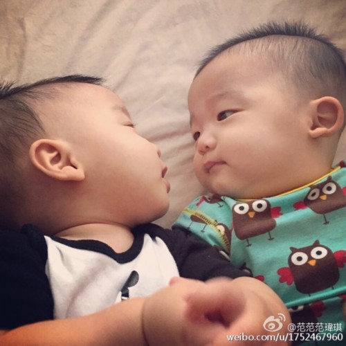 ������˫��̥������ϰ�� һ�˿���ͷһ��ҧ����