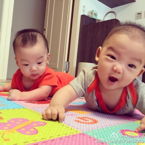 ������˫��̥������ϰ�� һ�˿���ͷһ��ҧ����