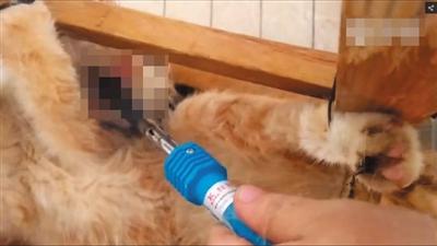 ��ѧ��Űè�⿹�� �齨QQȺ��Űè������������