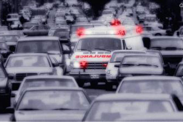 No zuo no die �⼸����Ϊ�ڸ����ϵ�����ɱ