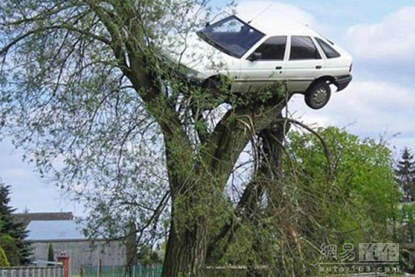 No zuo no die �⼸����Ϊ�ڸ����ϵ�����ɱ