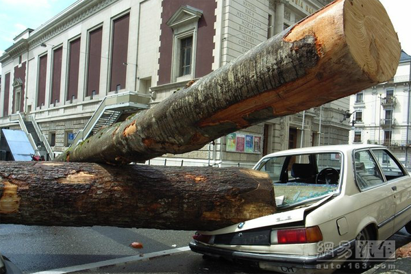 No zuo no die �⼸����Ϊ�ڸ����ϵ�����ɱ