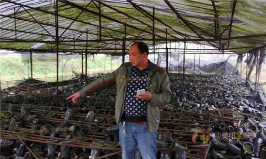 �Ĵ��ϰ���������ҹ����7ǧ������ ��ֵǧ��(ͼ)