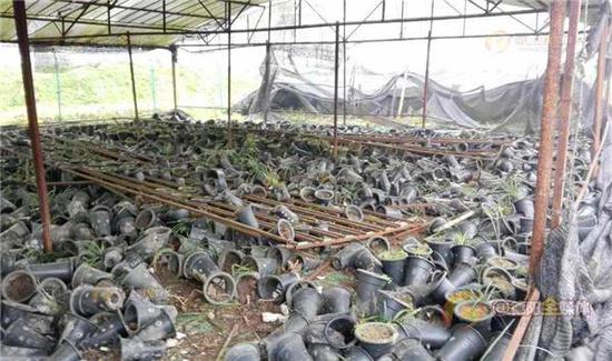 �Ĵ��ϰ���������ҹ����7ǧ������ ��ֵǧ��(ͼ)