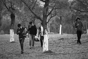 ���������һҳ