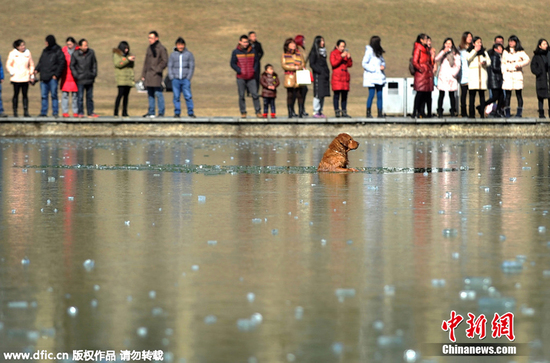 �����������ż��ҳ�30������ͨ���Ƚ�ë,���ѵ���