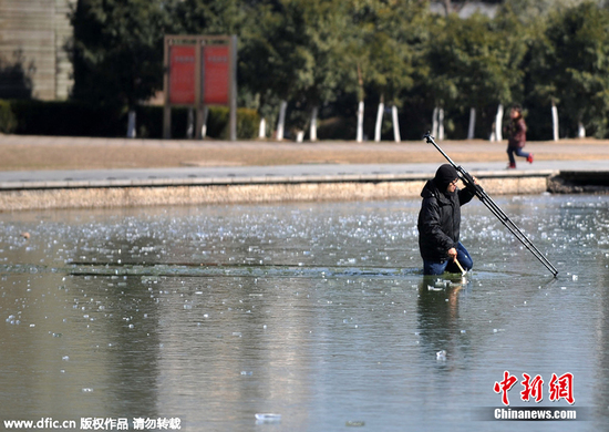 �����������ż��ҳ�30������ͨ���Ƚ�ë,���ѵ���