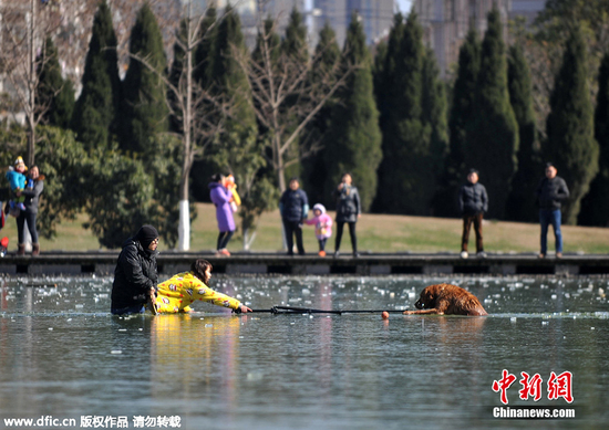 �����������ż��ҳ�30������ͨ���Ƚ�ë,���ѵ���