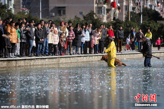 �����������ż��ҳ�30������ͨ���Ƚ�ë,���ѵ���