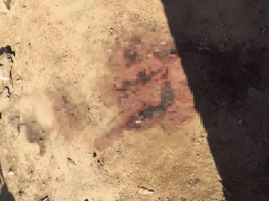 门外地上有大量血迹