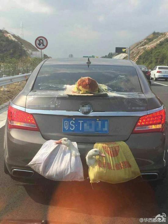 ����Ѽһ��