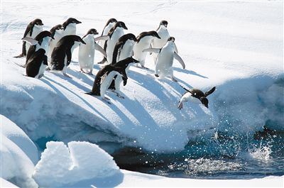 �������ϼ��İ��������