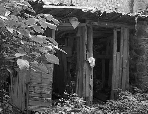 Ů�ӽ��20�������ũ���ż�һ�μ�������ҹ����