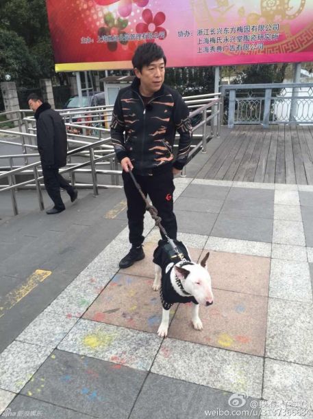 ��Ȯײ���Ʋ������ ˫�������٩