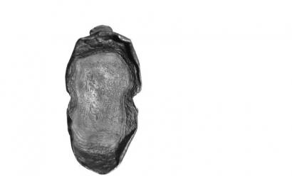 曾经出土的银锭