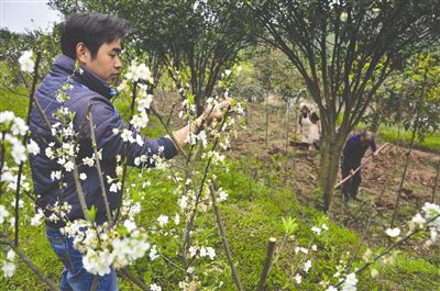 ����Я��Ů���統����ũ�� �������ƶϾ���ϵ