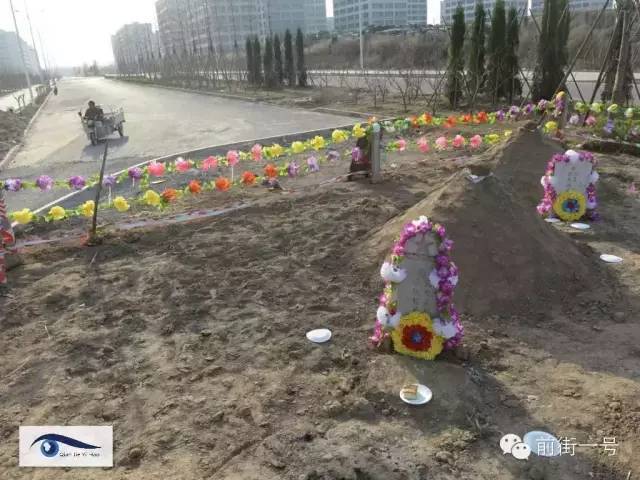 北京马路中间现最牛钉子坟(图)