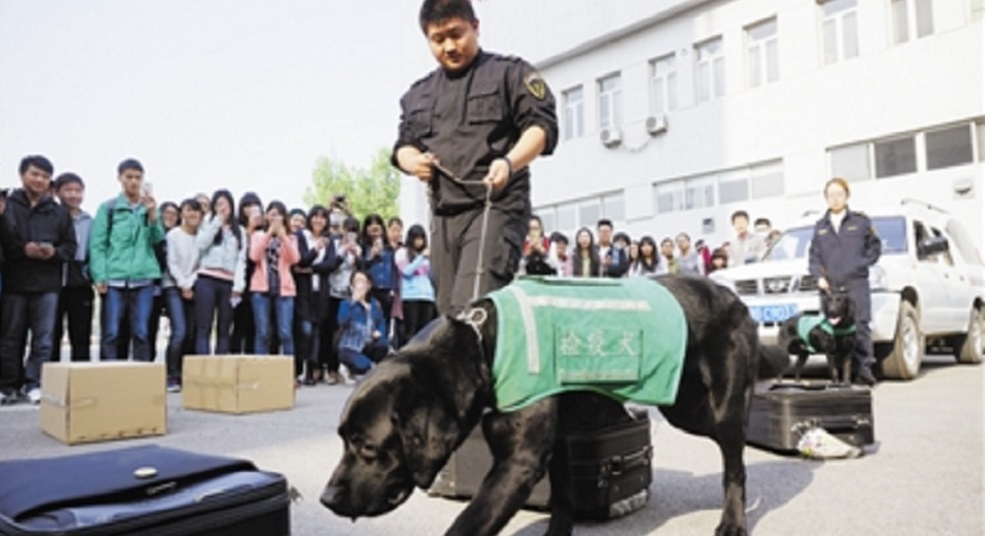 ӭ��ȫ����Ұ�ȫ������ ��У�ֳ���ʾ�������