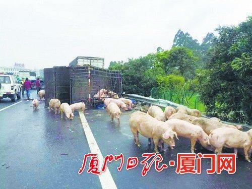 �����෭��ʮͷ����Խ���� �����ʹ������ġ�