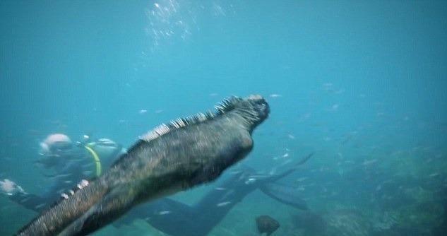 ��ʵ�桰��˹������������̫ƽ�� ��������