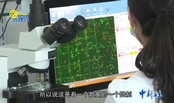 �辫�ɻ�߶�����ᵼ�º�����׽����ҵ��ҽ����ô˵��