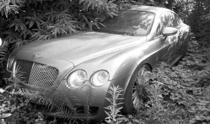 ���Ӳ�����ı�������