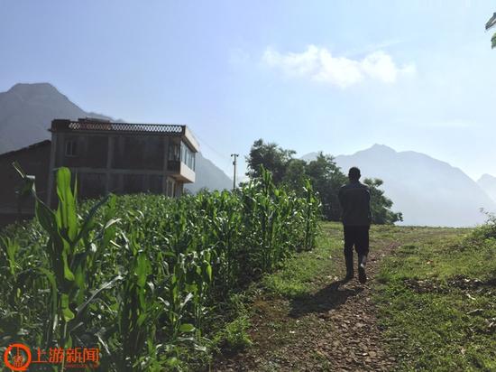 ����ȫ���޵Ķ���¥�������������һ��ɽͷ�ϡ�