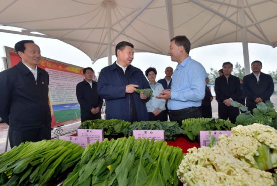 ϰ��ƽ���Ŀ����һ��:������Զ��·��