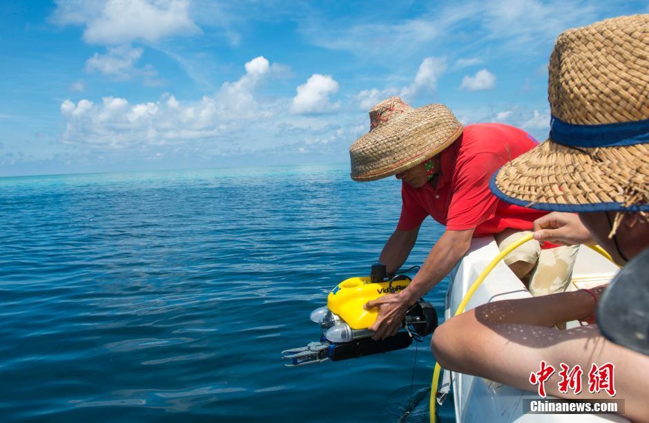 ���������������������ɳ����������