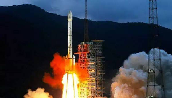 与孤独斗争972天 那只顽强的兔子永远离开了我们