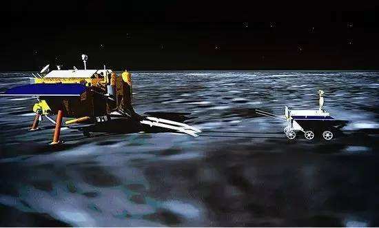 与孤独斗争972天 那只顽强的兔子永远离开了我们