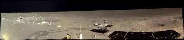 与孤独斗争972天 那只顽强的兔子永远离开了我们