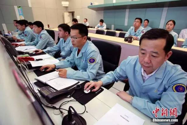 与孤独斗争972天 那只顽强的兔子永远离开了我们