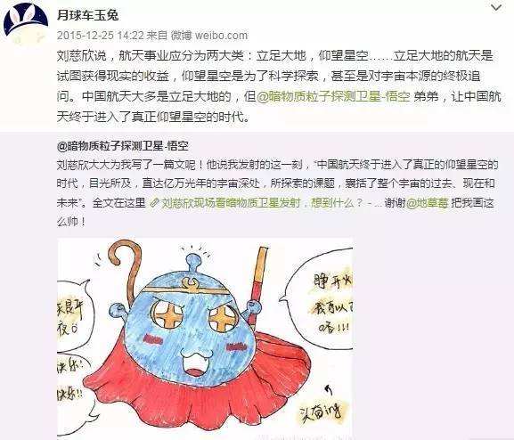 与孤独斗争972天 那只顽强的兔子永远离开了我们